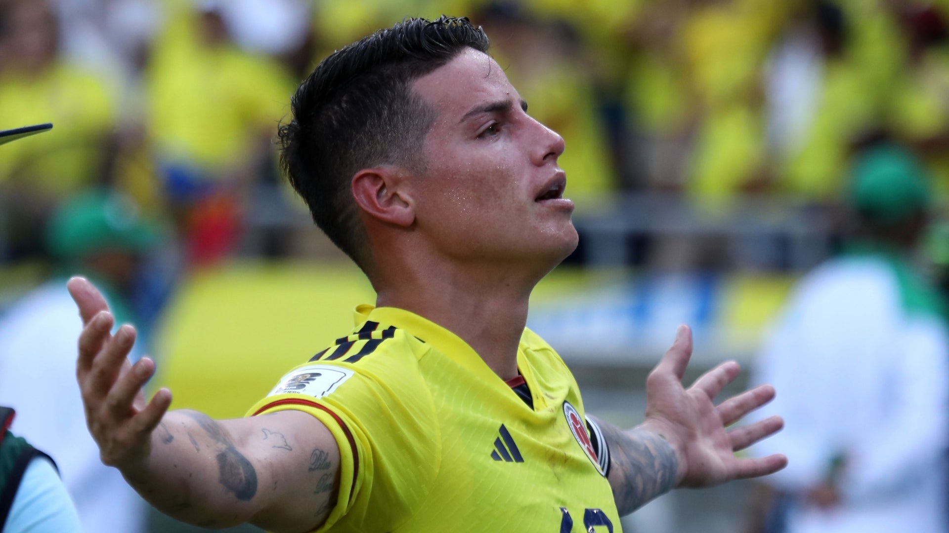 Récords de la Copa Mundial de la FIFA™: Colombia tiene su huella por James - VizzorImage