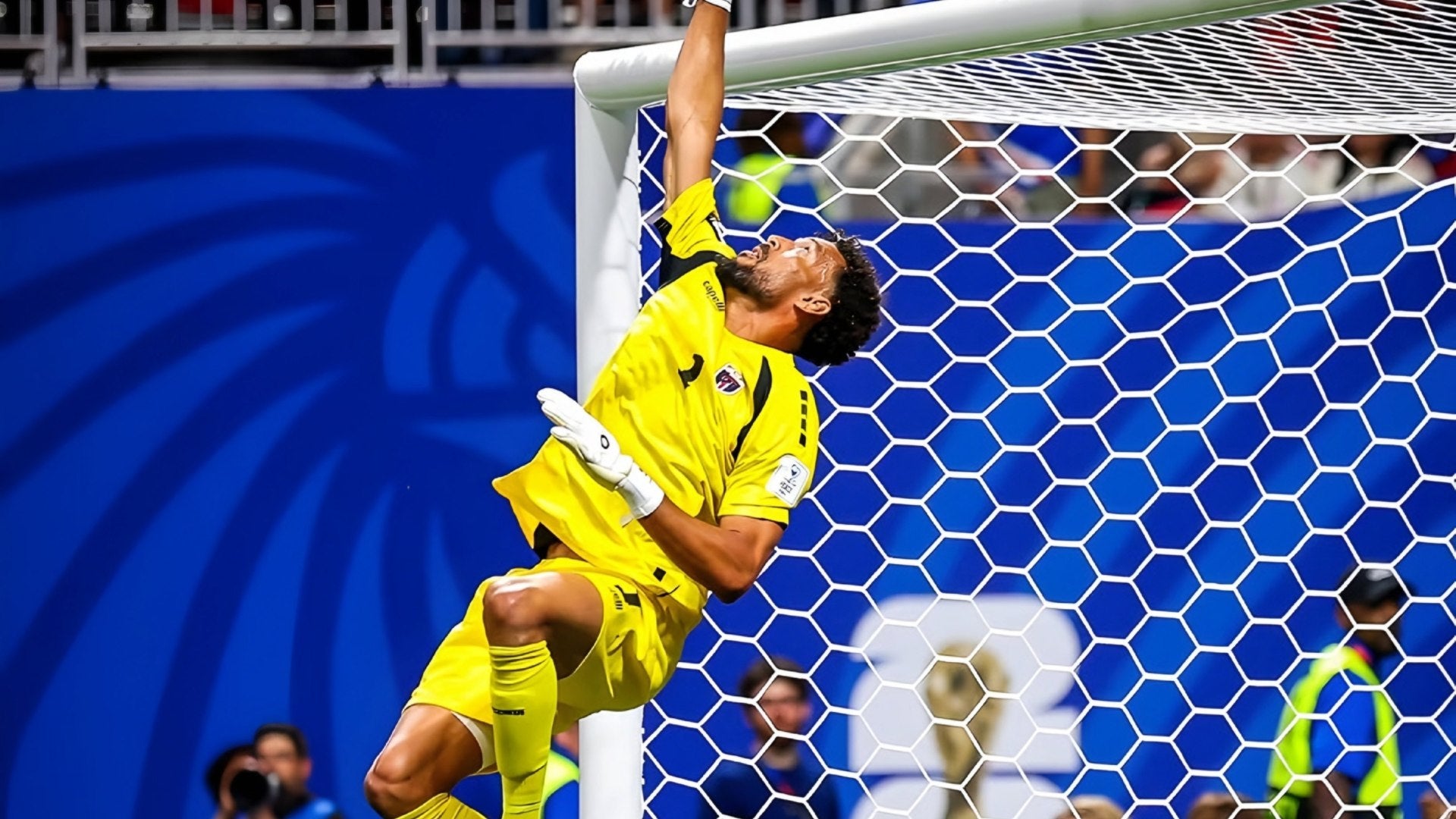 Vozinha se despide del Mundial
