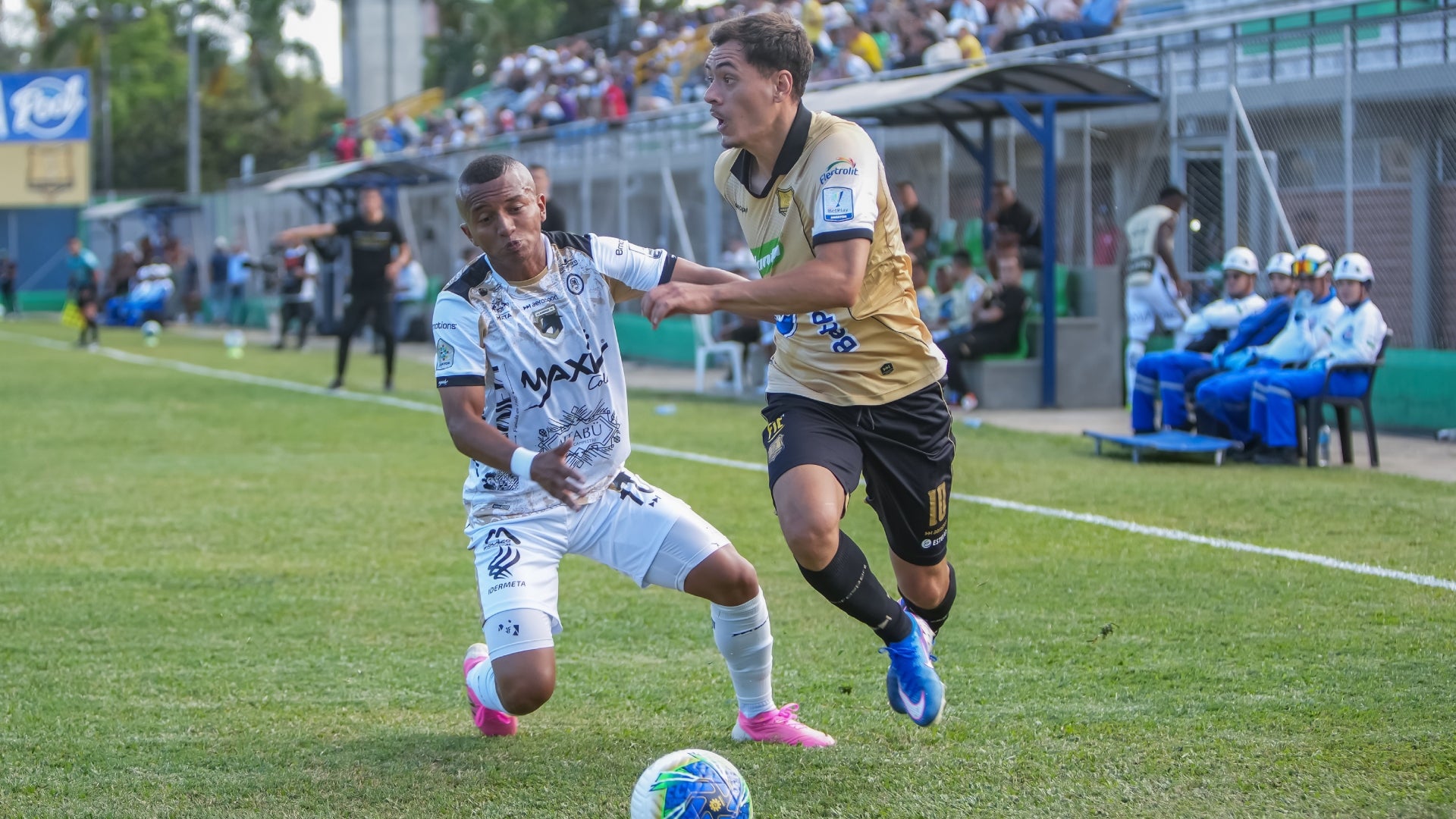 Águilas Doradas y Llaneros empataron en la Liga BetPlay