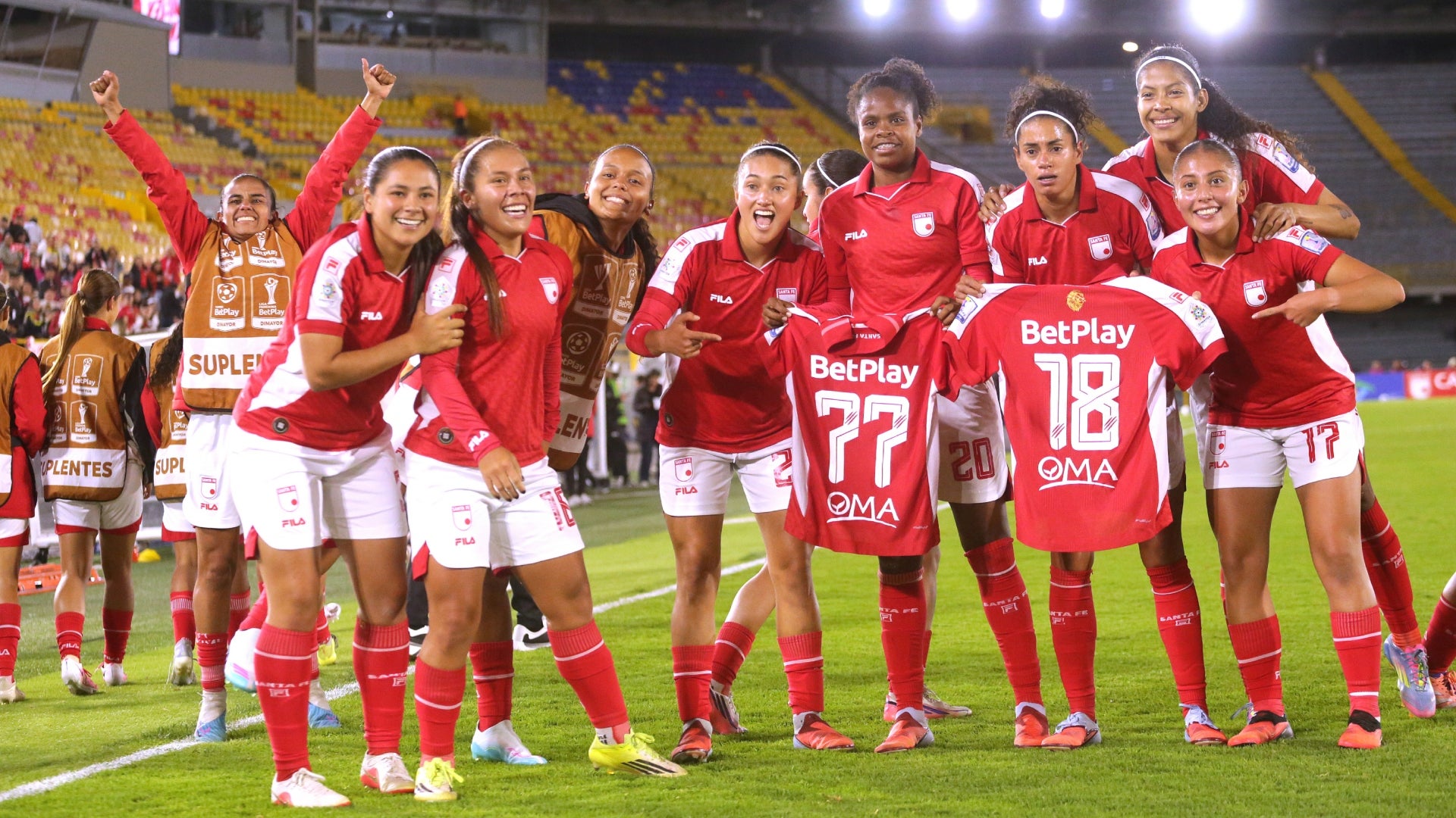 sanfem