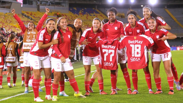 sanfem