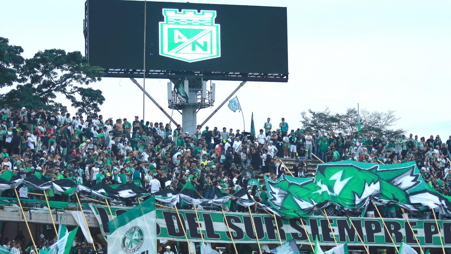 Recibimiento de Nacional vs. Medellín